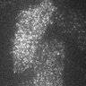 Thumbnail for dataset 11G-2Y2016M5D23h20m49s42AD_CAM1