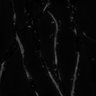 Thumbnail for dataset Fig5H_dendrites_SIM_EGFP_tagRFP-dEVH1
