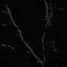 Thumbnail for dataset Fig5i_spines_SIM_EGFP_control1