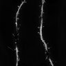 Thumbnail for dataset Fig5j_spines_SIM_EGFP_tagRFP-dEVH1_2