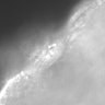 Thumbnail for dataset SuppFig7_gecko_embryo_movie1