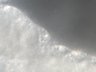 Thumbnail for dataset SuppFig7_gecko_embryo_movie2