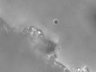 Thumbnail for dataset SuppFig7_gecko_embryo_movie3