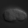 Thumbnail for dataset RNAi_R10E4.4_061107_02