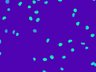 Thumbnail for dataset ActbKO2_DAPI