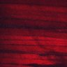 Thumbnail for dataset Fig2BC_myogenicCell_migration_N1_0dpi_lapse3