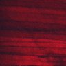 Thumbnail for dataset Fig2BC_myogenicCell_migration_N1_0dpi_lapse4