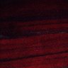 Thumbnail for dataset Fig2BC_myogenicCell_migration_N1_5dpi_lapse2