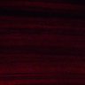 Thumbnail for dataset Fig2BC_myogenicCell_migration_N3_0dpi_lapse4