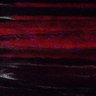 Thumbnail for dataset Fig2BC_myogenicCell_migration_N3_2dpi_lapse6