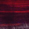 Thumbnail for dataset Fig2BC_myogenicCell_migration_N3_3dpi_lapse2