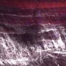 Thumbnail for dataset Fig2DEF_myogenicCell_migration_N2_MEKi_lapse5