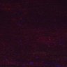 Thumbnail for dataset Fig2DEF_myogenicCell_migration_N3_DMSO_lapse1