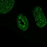 Thumbnail for dataset Fig1A_E14