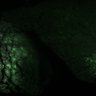 Thumbnail for dataset Fig3B_myogenicCell_control_N2