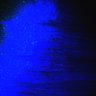 Thumbnail for dataset Fig4A_myogenicCell_Fucci_N2_0dpi