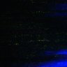 Thumbnail for dataset Fig4A_myogenicCell_Fucci_N2_5dpi