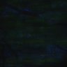 Thumbnail for dataset Fig4A_myogenicCell_Fucci_N3_2dpi