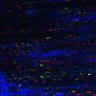 Thumbnail for Fig4A_myogenicCell_Fucci_N3_5dpi
