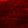 Thumbnail for dataset Fig4CD_myogenicCell_Fucci_N1
