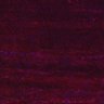Thumbnail for dataset Fig5_myogenicCell_CDK1_2i_N1_lapse1