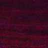 Thumbnail for dataset Fig5_myogenicCell_CDK1_2i_N1_lapse3
