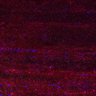 Thumbnail for dataset Fig5_myogenicCell_CDK1_2i_N1_lapse5