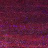 Thumbnail for dataset Fig5_myogenicCell_CDK1_2i_N1_lapse8