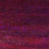 Thumbnail for dataset Fig5_myogenicCell_CDK1_2i_N1_lapse9