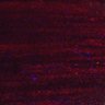 Thumbnail for Fig5_myogenicCell_CDK1_2i_N2_lapse2