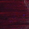 Thumbnail for dataset Fig5_myogenicCell_CDK1_2i_N2_lapse5