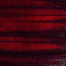 Thumbnail for dataset Fig5_myogenicCell_CDK1_2i_N4_lapse4