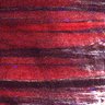 Thumbnail for dataset Fig5_myogenicCell_CDK1_2i_N4_lapse6