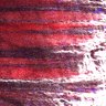 Thumbnail for dataset Fig5_myogenicCell_CDK1_2i_N4_lapse7
