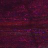 Thumbnail for Fig5_myogenicCell_CDK1i_N2_lapse1