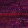 Thumbnail for Fig5_myogenicCell_CDK1i_N2_lapse4