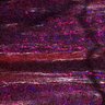 Thumbnail for dataset Fig5_myogenicCell_CDK1i_N2_lapse7