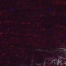 Thumbnail for Fig5_myogenicCell_CDK1i_N3_lapse3