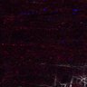 Thumbnail for dataset Fig5_myogenicCell_CDK1i_N3_lapse5