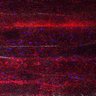Thumbnail for dataset Fig5_myogenicCell_CDK4_6i_N3_lapse1