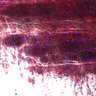 Thumbnail for dataset Fig5_myogenicCell_CDK4_6i_N3_lapse6