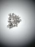 Thumbnail for dataset Fig3C_CHIR+