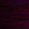 Thumbnail for dataset Fig5_myogenicCell_DMSO_N1_lapse1