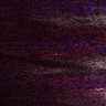 Thumbnail for dataset Fig5_myogenicCell_DMSO_N1_lapse3