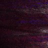 Thumbnail for dataset Fig5_myogenicCell_DMSO_N1_lapse4