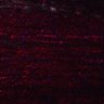 Thumbnail for dataset Fig5_myogenicCell_DMSO_N2_lapse1