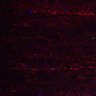 Thumbnail for Fig5_myogenicCell_DMSO_N4_lapse1