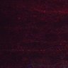 Thumbnail for dataset Fig5_myogenicCell_DMSO_N4_lapse3