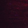 Thumbnail for dataset Fig5_myogenicCell_DMSO_N4_lapse4