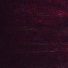 Thumbnail for Fig5_myogenicCell_DMSO_N4_lapse5